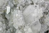 Apophyllite Crystal Cluster - India #122101-2